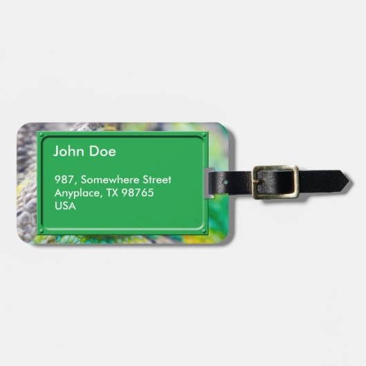 Chameleonoog Bagagelabel (Voorkant horizontaal)