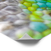 Chameleonoog Poster (Hoek)