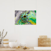 Chameleonoog Poster (Keuken)