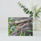 Chameleons Briefkaart (Staand voorkant)