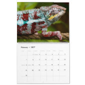 Chameleons Kalender (Feb 2027)