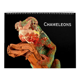 Chameleons Kalender