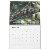 Chameleons of Madagascar Calendar Kalender (Mar 2026)