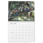 Chameleons of Madagascar Calendar Kalender (Mar 2027)