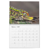 Chameleons of Madagascar Calendar Kalender (Feb 2027)