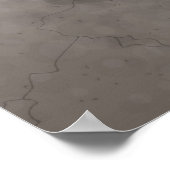 Chameleozoïde Poster (Hoek)