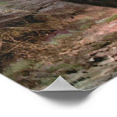 Chamois door CE Swan, geiten in de bergen Poster (Hoek)