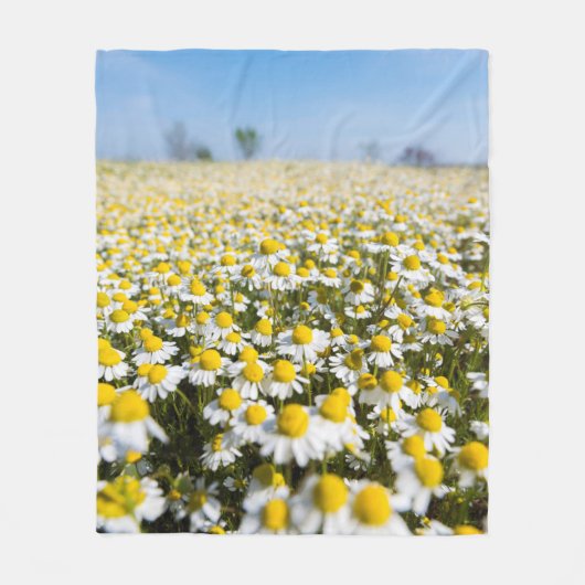 Chamomile Field, Hongarije Fleece Deken (Voorkant)