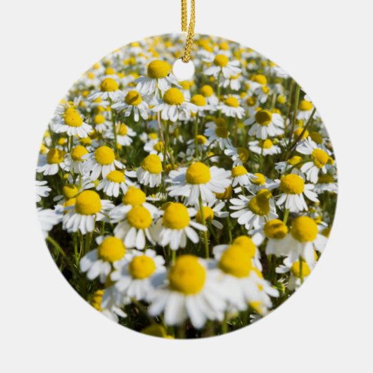 Chamomile Field, Hongarije Keramisch Ornament (Voorkant)