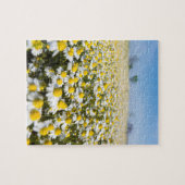 Chamomile Field, Hongarije Legpuzzel (Horizontaal)