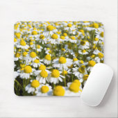 Chamomile Field, Hongarije Muismat (Met muis)