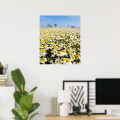 Chamomile Field, Hongarije Poster (Thuiskantoor)