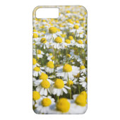Chamomile flower close-up, Hongarije Case-Mate iPhone Case (Achterkant)