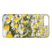 Chamomile flower close-up, Hongarije Case-Mate iPhone Case (Achterkant (Horizontaal))
