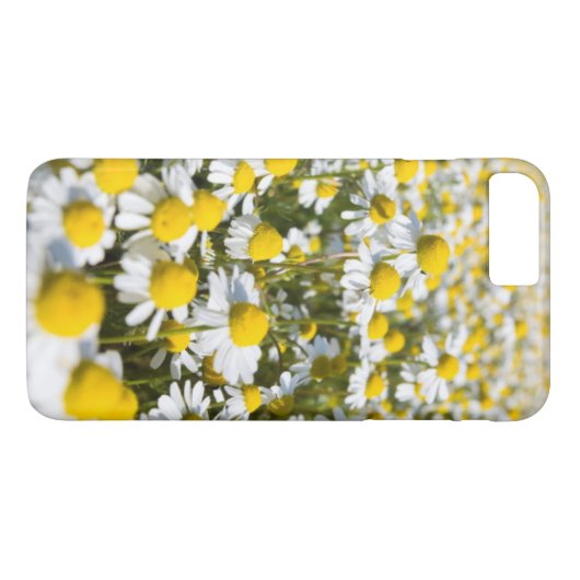 Chamomile flower close-up, Hongarije Case-Mate iPhone Case (Achterkant (Horizontaal))