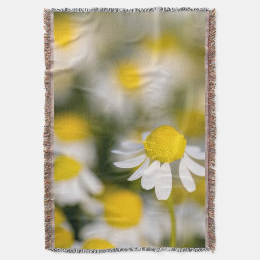 Chamomile flower close-up, Hongarije Deken (Voorkant Verticaal)
