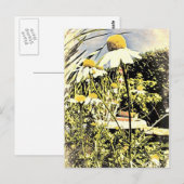 Chamomile Flowers (Antiek stijl) Briefkaart (Voorkant / Achterkant)
