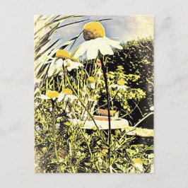 Chamomile Flowers (Antiek stijl) Briefkaart