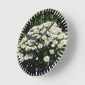 Chamomile klok (Hoek)