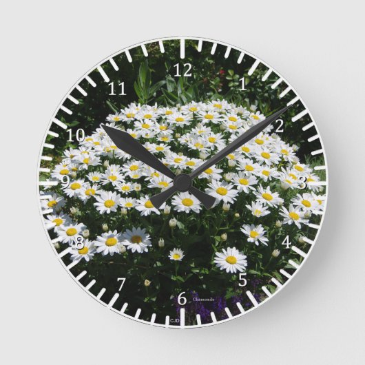 Chamomile klok (Voorkant)