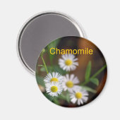 Chamomile magnet (Voorkant / Achterkant)