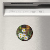 Chamomile magnet (Insitu (Vaatwasser))