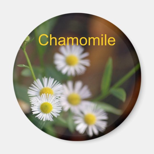 Chamomile magnet (Voorkant)