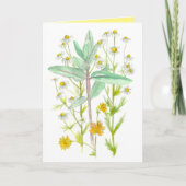 Chamomile Milkweed Garden Flowers denkend aan jull Kaart (Voorkant)