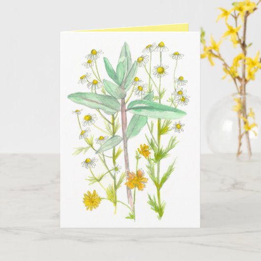 Chamomile Milkweed Garden Flowers denkend aan jull Kaart (Gele Bloem)