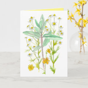 Chamomile Milkweed Garden Flowers denkend aan jull Kaart