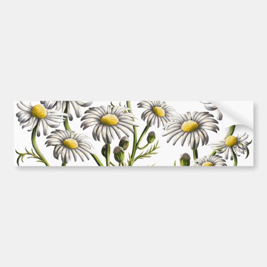 Chamomile Plant Magnet Bumpersticker (Voorkant)