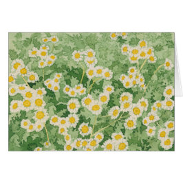 Chamomiles Kaart