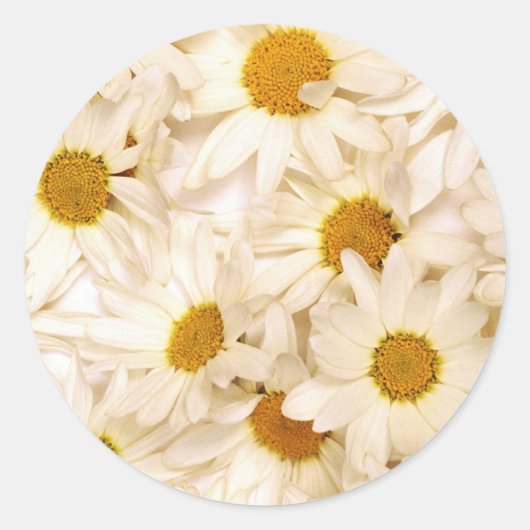 Chamomiles Ronde Sticker (Voorkant)