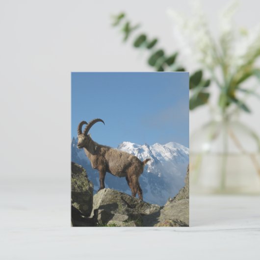 Chamonix Briefkaart (Staand voorkant)