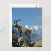 Chamonix Briefkaart (Voorkant / Achterkant)