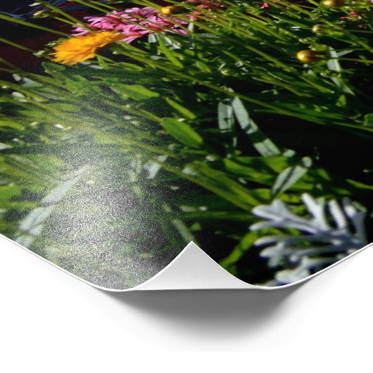 Chamonix, Frankrijk Foto Afdruk (Hoek)