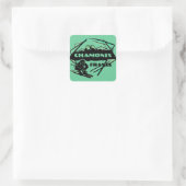 Chamonix Frankrijk groene ski logo kunst stickers (Tas)