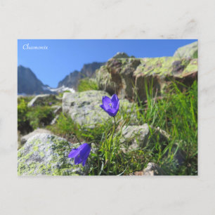 Chamonix French Alps Briefkaart