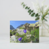 Chamonix French Alps Briefkaart (Staand voorkant)