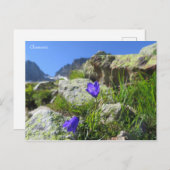 Chamonix French Alps Briefkaart (Voorkant / Achterkant)