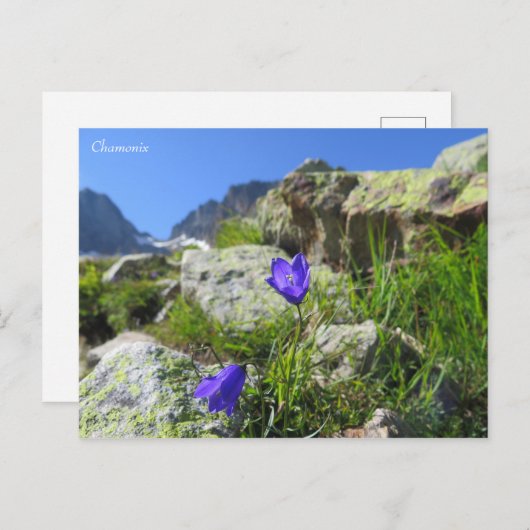 Chamonix French Alps Briefkaart (Voorkant / Achterkant)