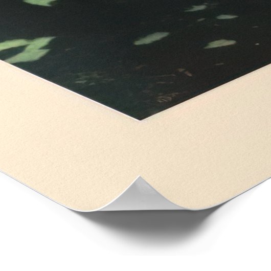 Chamonix, Mont Blan, Ski Poster (Hoek)