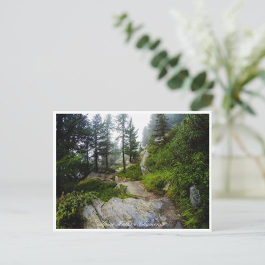 Chamonix - Mt. Blanc, Alpine Landscape, Frankrijk Briefkaart (Staand voorkant)