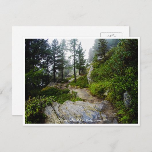 Chamonix - Mt. Blanc, Alpine Landscape, Frankrijk Briefkaart (Voorkant / Achterkant)