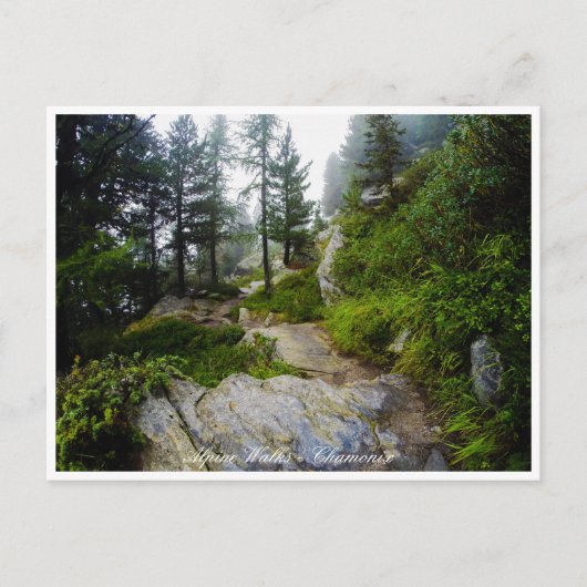 Chamonix - Mt. Blanc, Alpine Landscape, Frankrijk Briefkaart (Voorkant)