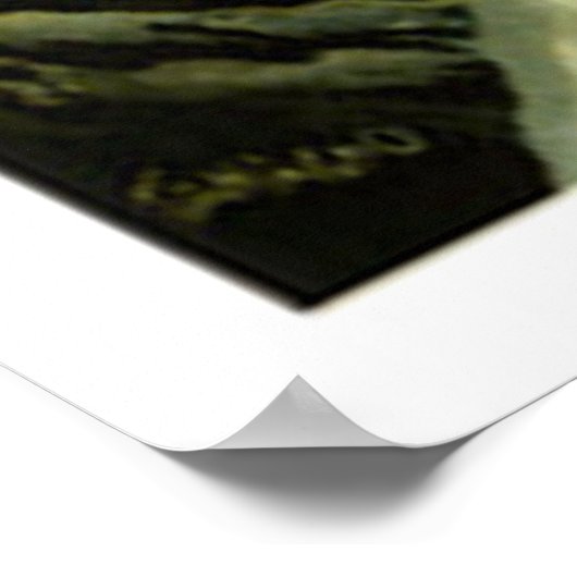  Chamonix Ski Poster (Hoek)