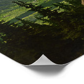 Chamonix Valley - Montblanc en La Flegere Poster (Hoek)