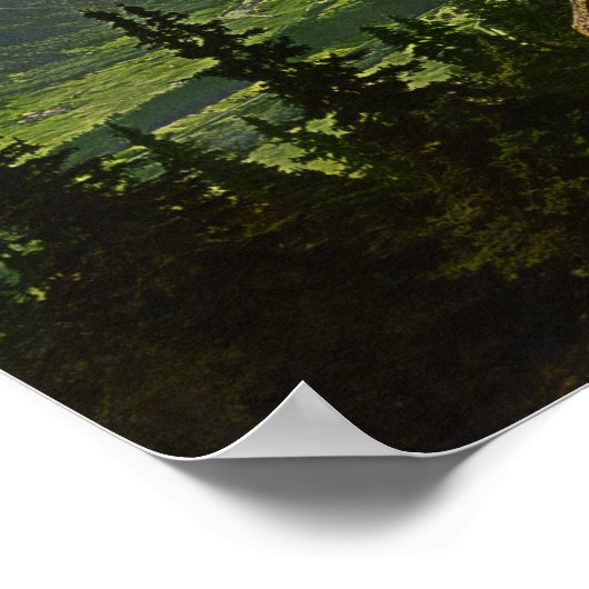 Chamonix Valley - Montblanc en La Flegere Poster (Hoek)