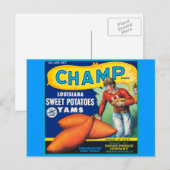  Champ Brand Sweet Potates Ad Briefkaart (Voorkant / Achterkant)