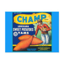  Champ Brand Sweet Potates Ad